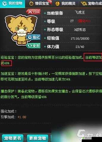QQ 飞车手游炽焰神龟价格及获取方法与专属特性全解析