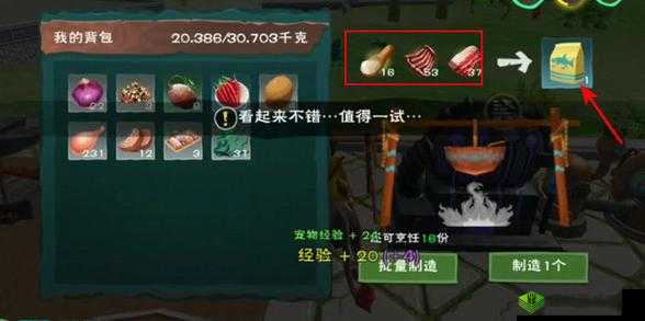 创造与魔法：探寻幼鲭鲨饲料制作奥秘